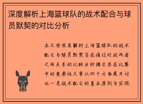 深度解析上海篮球队的战术配合与球员默契的对比分析